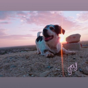 IMG_20200210_204402_257 (2)